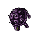 Purple Turtle